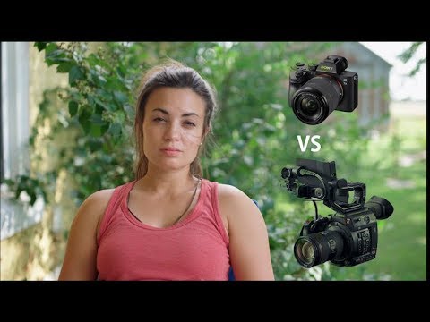Sony A7III vs CINEMA CAMERA (C200)