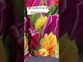 Pościel 3D Tulipany