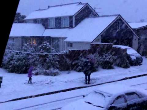 Wellington Snow