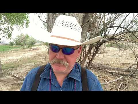 Savage 99 and Thompson center compass 308 accuracy load test