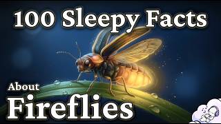 Download lagu Fireflies: The Quiet Science of Nature’s Living Lanterns mp3 Download lagu Fireflies: The Quiet Science of Nature’s Living Lanterns mp3