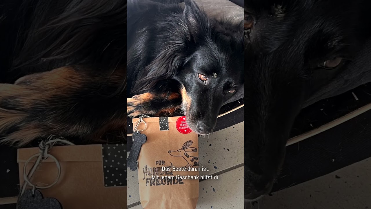 Hundefreunde Wundertüte mit ganz viel Tierliebe