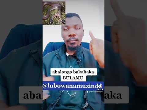 abalongo bakabaka BULAMU