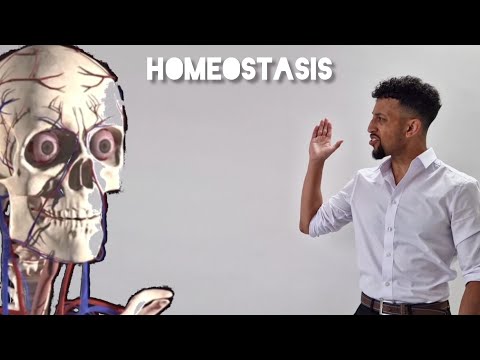 Science Raps: GCSE Biology - Homeostasis