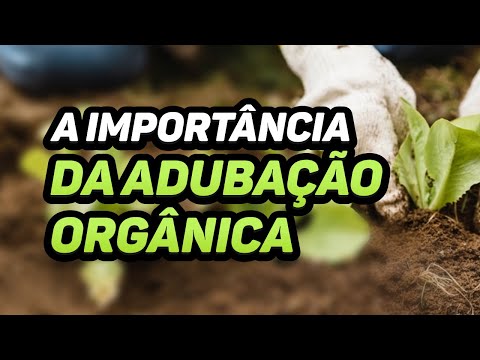 A IMPORTÂNCIA da ADUBAÇÃO ORGÂNICA