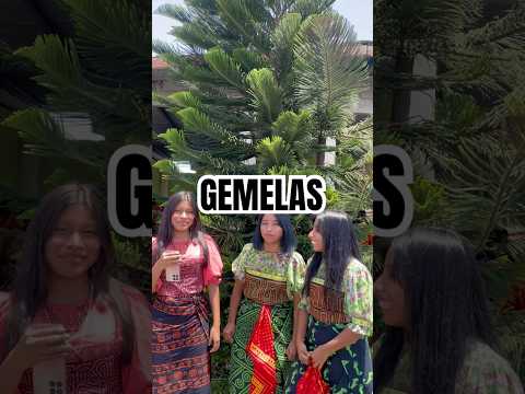 GEMELAS EN LA DANZA GUNA #danzaguna #gunayala #panama #shorts #suscribete #gemelas