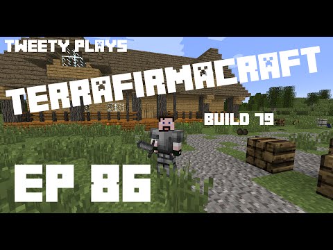 Tweety plays Terrafirmacraft ep 86 - News and Graphite