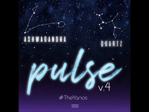 PULSE CONTROLLED VOL. 4