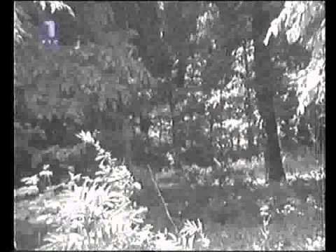 Od Homolja do Dunava - Stari Majdanpek i D.Milanovac