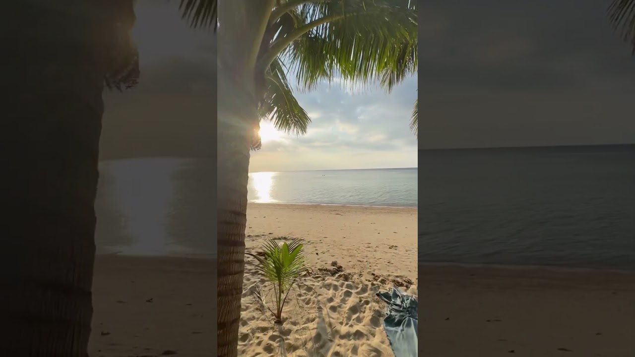 YouTube Short thumbnail