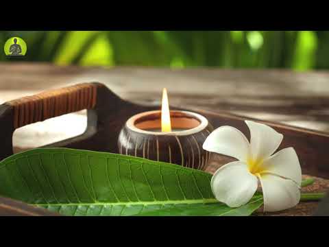 "Let Go Of All Negative Energy" Meditation Music, The Deepest Healing Music, Relax Mind Body