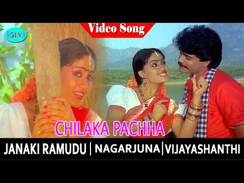 Chilaka Pachha  Video Song | Janaki Ramudu Movie Songs | Nagarjuna | Vijayashanti