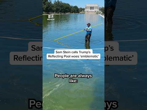Sam Stein calls Trump’s Reflecting Pool woes ‘emblematic’