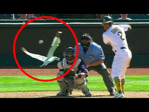 1 in a Million MLB Moments