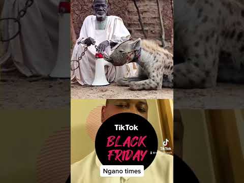 Paivapo Dzepfunde (ngano dzeshona)