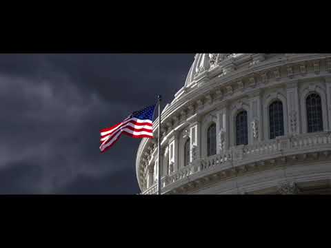 Tagesdosis 15.03.2019 - Legal, illegal, scheißegal (kV)