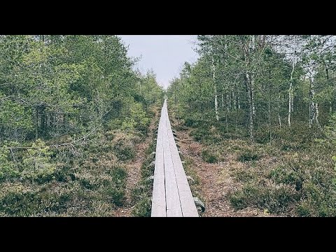 Olaine water treatment plant, Cena Moorland and other places