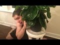 HIDE AND SEEK!!! HIDE AND SEEK!!!