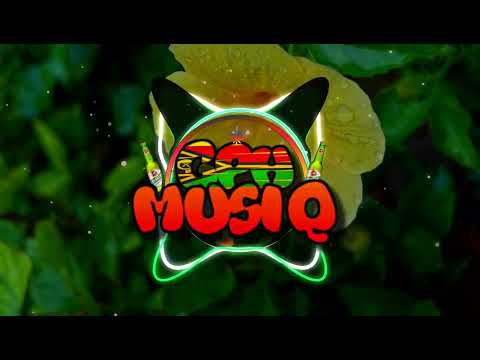 VanZ - Joss Kompa Test 2024