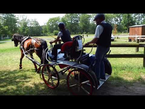 Fahrturnier Neu Versen 23.6.2019