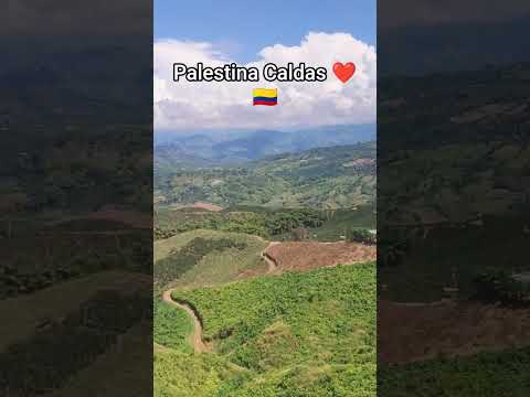 Palestina Caldas ❤️🇨🇴 #musica #palestinacaldas