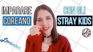 🇰🇷 Imparare il coreano con il Kpop: canzone "Levanter" (Stray Kids) | Parla coreano 2 ep 5