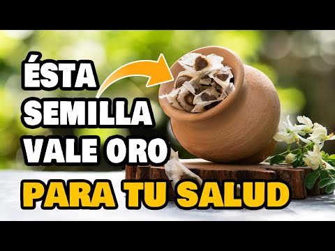 🚨 ¡El Peligro! de comer esta semilla es que no la comas porque es excelente para tu salud.