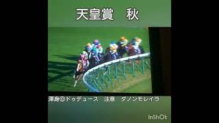 【◎渾身の天皇賞秋2023◎】魂の乗り変わり信じたあの男に。。