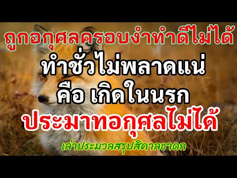คลิกเพื่อดูคลิปวิดีโอ