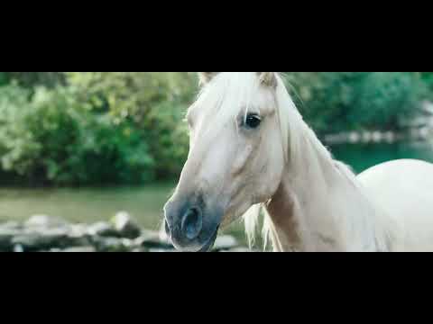 Windstorm 3 - Ritorno alle origini (2017) | Il sogno