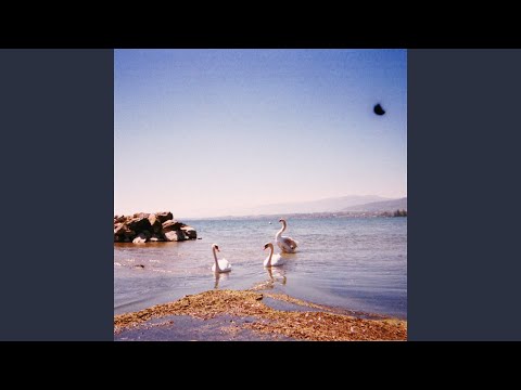 Tether - Coma Cinema