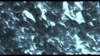 The Get Up Kids - "Automatic" Quality Hill Records