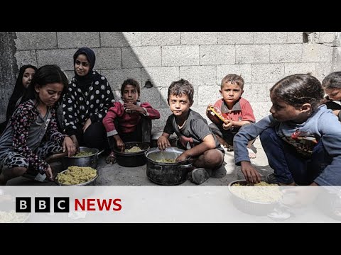 Video | Gaza experiencing health ‘catastrophe’ that will last generations, says WHO | BBC News