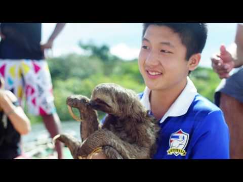 Olá Brasil By:Sunny