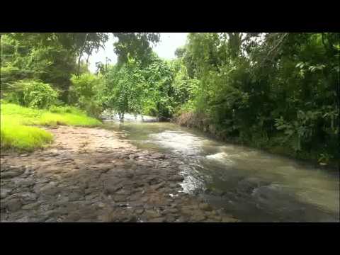 Meas Samon Ros Serei Sothea Pen Ron - Kamsan pipop lork - Khmer/Cambodian Old Song