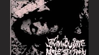 Immaculate Molestation - Carnal Blood Orgy of the Lesbian Nuns (2002)