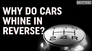 Why do cars whine in reverse? – Mike&#39;s Mechanics