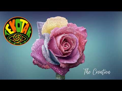 TeKotaK - The Creation