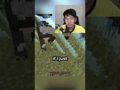 Minecraft, But Its ME Vs IShowSpeed..