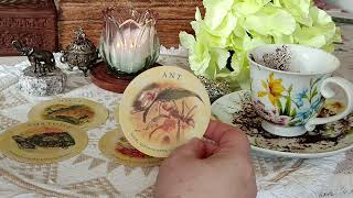 Download lagu ZMIANA ŚRODOWISKA, NOWE ZNAJOMOŚCI, POMOC 🔮💫🚙🏠🎁⚖️🪬 WRÓŻBA OGÓLNA Z FUSÓW KAWY ☕☕☕ mp3