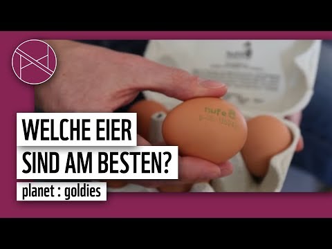 Welche Eier kaufen? Sind Bio-Eier wirklich besser? | planet : goldies | planet : panda