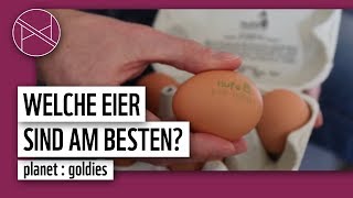 Welche Eier kaufen? Sind Bio-Eier wirklich besser? | planet : goldies | planet : panda