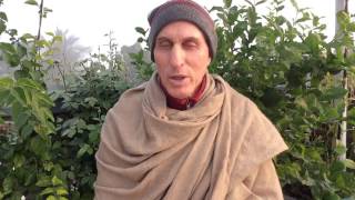 January 20: HG Mahatma Prabhu speaks on " Don't get it Backwards"