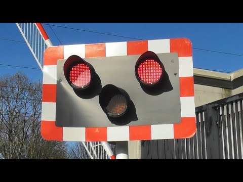 Irish Railway Crossings - Lansdowne Road, Dublin