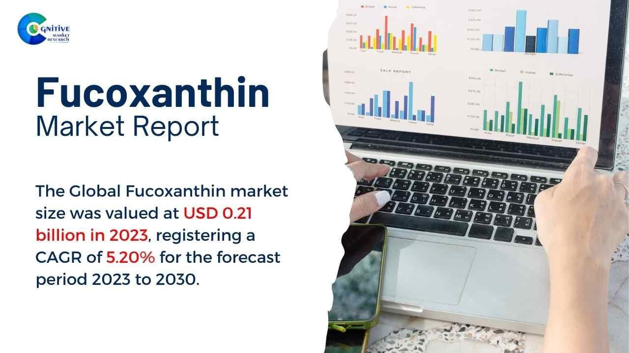 Fucoxanthin  Market Insights