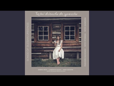 Od Bytomia bita droga