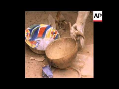 UPITN 17 6 73 FAMINE IN NIGER, WORST DROUGHT IN SIXTY YEARS