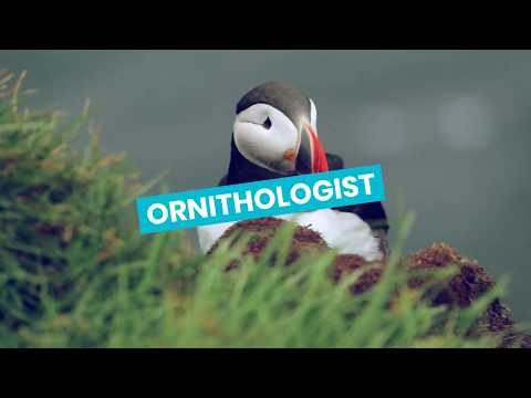 Ornithologist video 4