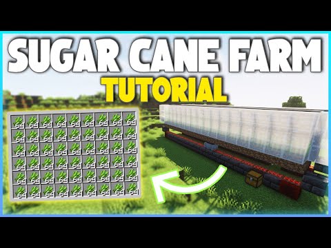 Minecraft EASY Sugar Cane Farm Tutorial! 1.20+