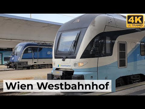 Wien Westbahnhof 22.11.2025 - Belebter Mittag mit REX, S-Bahn, Westbahn & internationalem EC